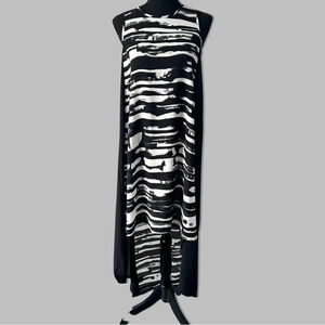 Philosophy  Sleeveless High Low Chiffon Dress